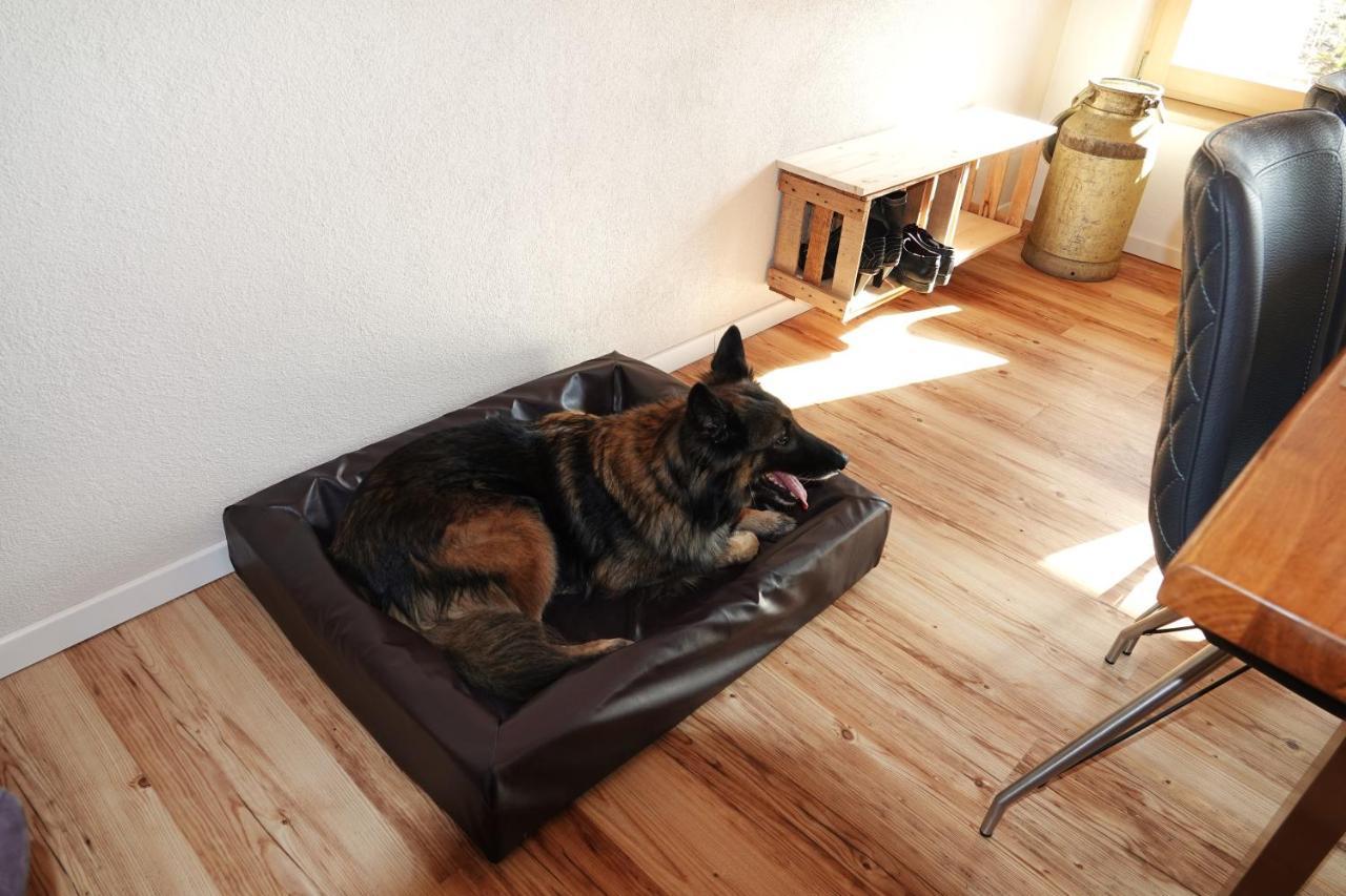 Weinbergshof Rickel Apartment Kitzingen Luaran gambar