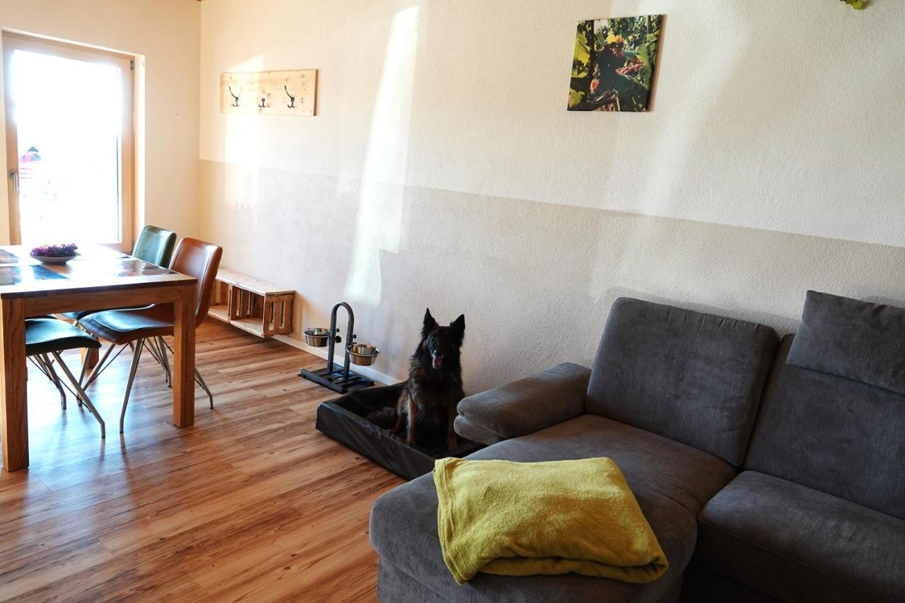 Weinbergshof Rickel Apartment Kitzingen Luaran gambar
